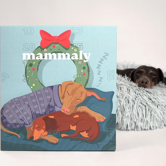 RelaX-Mas-Kalender