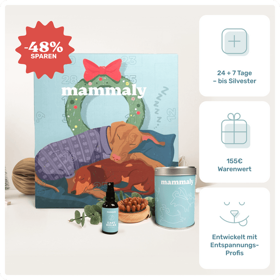 RelaX-Mas-Kalender von mammaly – Adventskalender mit Hundesnacks und Goodies Produktabbildung