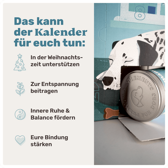 Benefit-Grafik des Hundeadventskalenders: Ruhe, Balance, Bindung, sanfte Entspannung