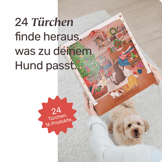 Adventskalender