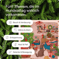 mammaly Adventskalender Themenbereiche Verdauung Gelenke Haut Fell Entspannung Zähne