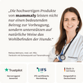 mammaly Hundeadventskalender Tierarztempfehlung