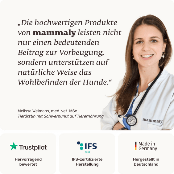 mammaly Hundeadventskalender Tierarztempfehlung