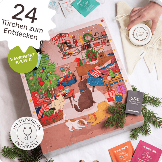 mammaly Hundeadventskalender Hintergrundwissen