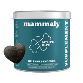 Funktion trifft Leckerli: