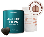 Active Hips
