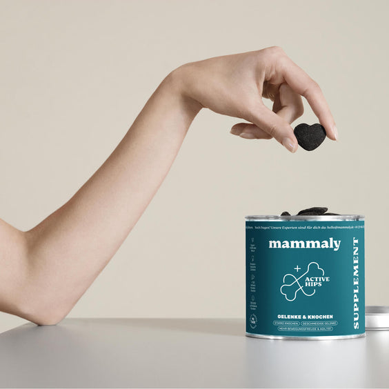 Active Hips - mammaly