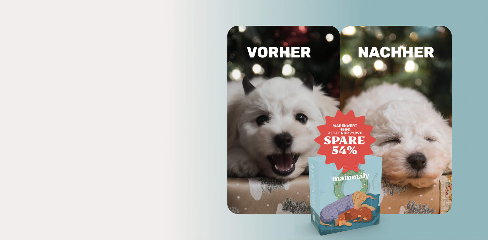 Silvesterknaller, Feuerwerk & Feiertagschaos? Dein Hund muss dieses Jahr nicht leiden!