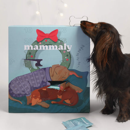 Jetzt sichern: Der Adventskalender, der wirklich Entspannung schenkt