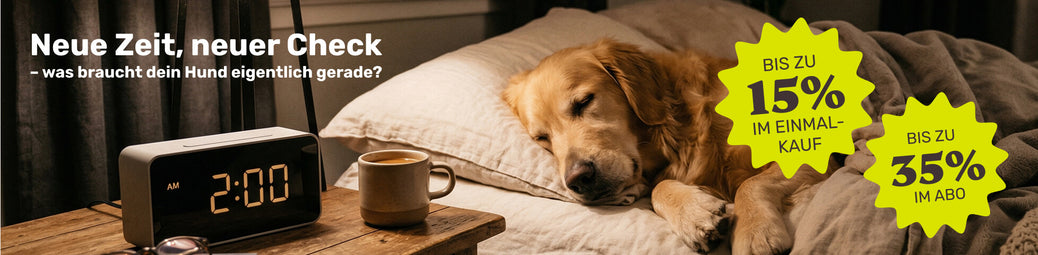 Vitalität & Balance