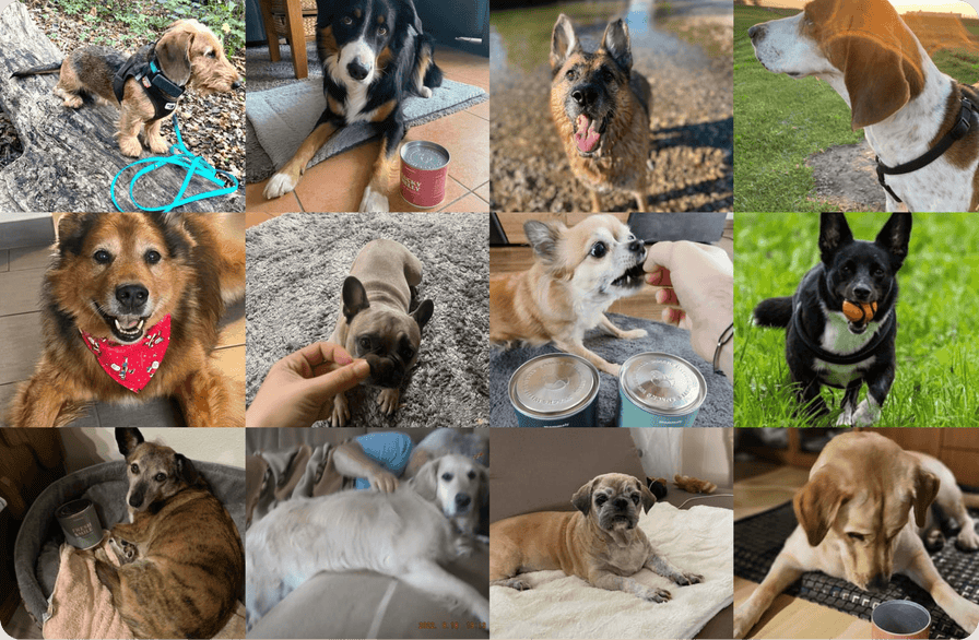 Bewährt bei über 1 Million glücklichen und gesunden Hunden