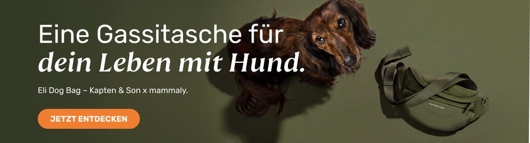 Alle Produkte