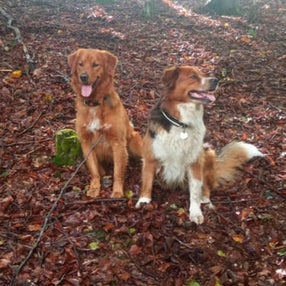 Luna & Sandra, 20.11.2023