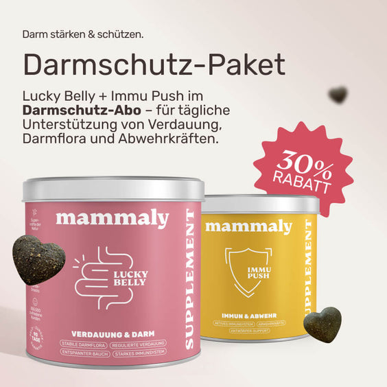 Darmschutz Bundle