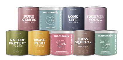 Der Mega-Spar-Abo-Deal