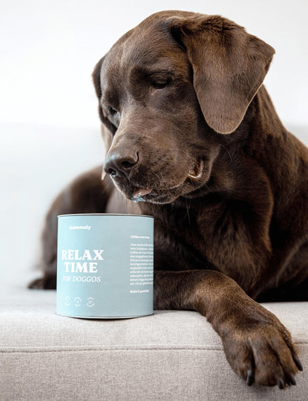 Vorteile von Relax Time: