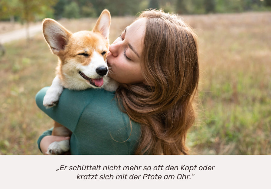 „Er schüttelt nicht mehr so oft den Kopf oder kratzt sich mit der Pfote am Ohr.“