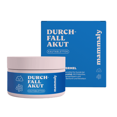 Durchfall Akut