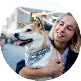 Insta Doggo 3