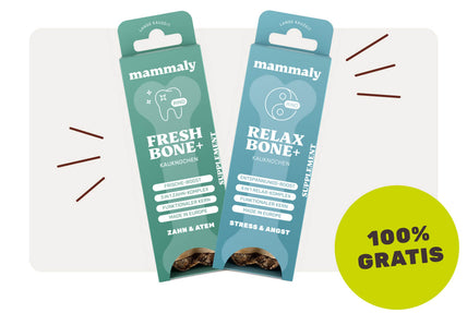 Jetzt abonnieren und kostenloser Relax & Fresh Bundle im Wert von 11,98&nbsp;€ erhalten.