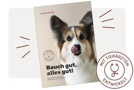Jetzt abonnieren und kostenlosen Handbuch: Verdauung beim Hund im Wert von 19,99&nbsp;€ erhalten.