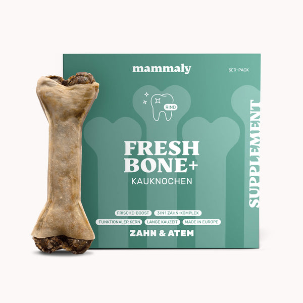 Kauknochen für Zahnpflege & frischen Atem | Fresh Bone+ | mammaly