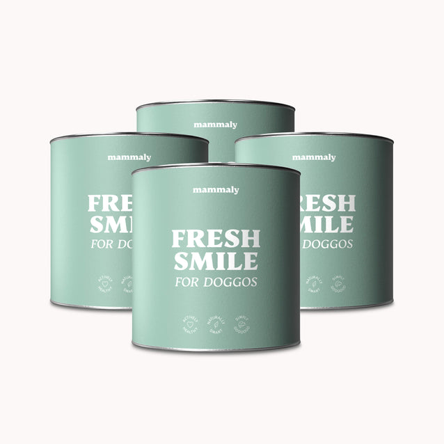 Hunde Zahnpflegesnack Fresh Smile Viererpack