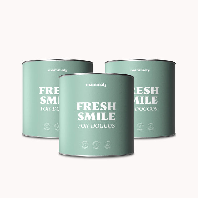 Hunde Zahnpflegesnack Fresh Smile Dreierpack