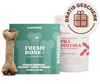 Fresh Bone+