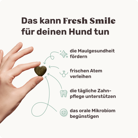 Hunde Zahnpflegesnack Fresh Smile Produktvorteile