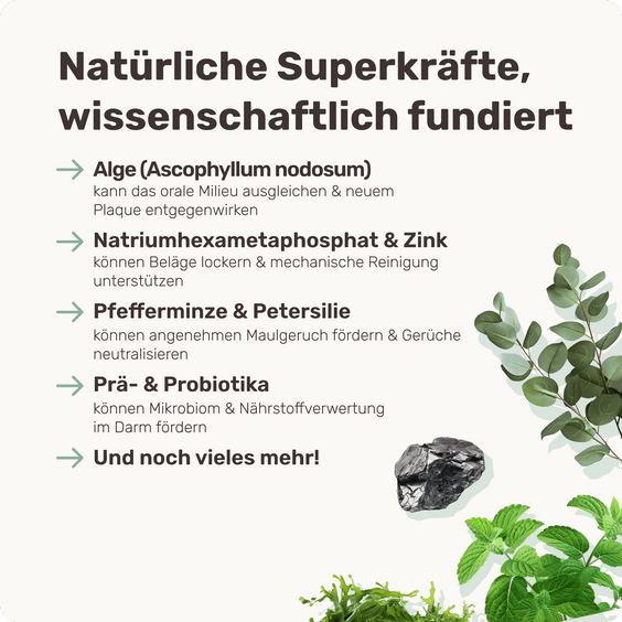 Hunde Zahnpflegesnack Fresh Smile Inhaltsstoffe
