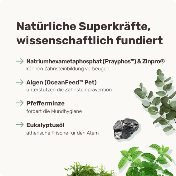 Hunde Zahnpflegesnack Fresh Smile Inhaltsstoffe