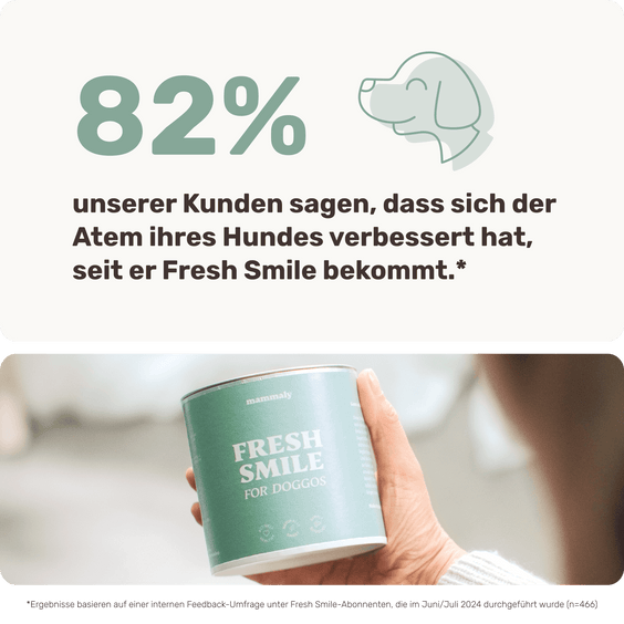 Hunde Zahnpflegesnack Fresh Smile Kundenumfrage