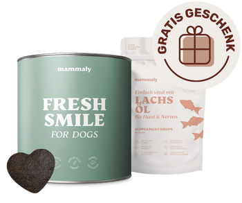 Fresh Smile
