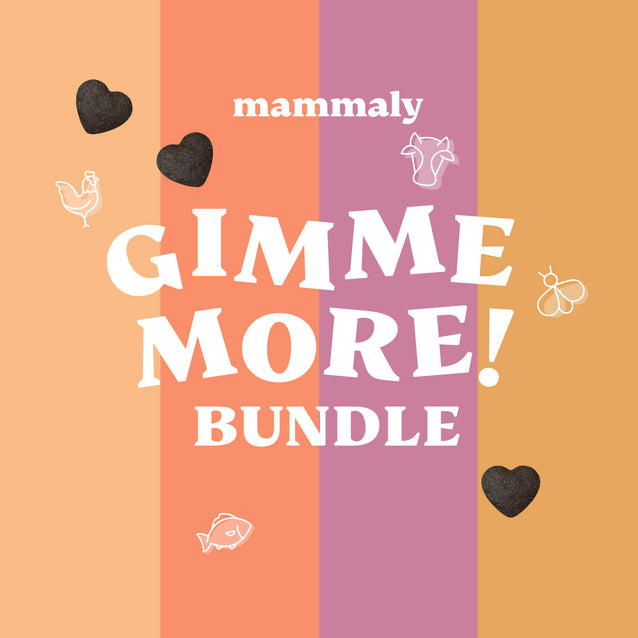 Gimme More! 4er-Bundle - mammaly