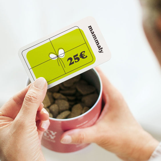 mammaly Gutschein Produktabbildung