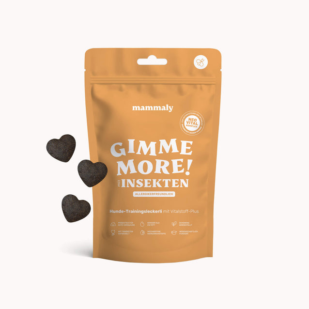 Gimme More! mit Insekten - mammaly