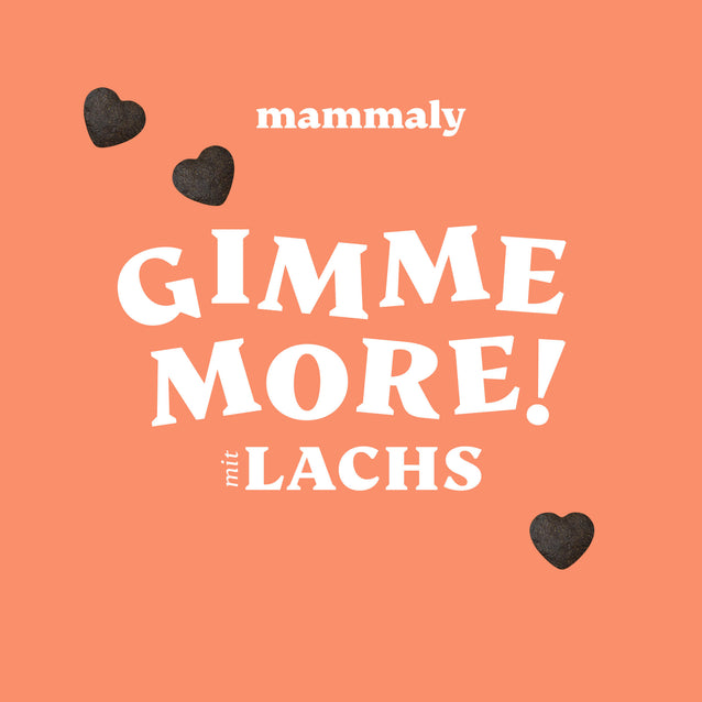 Gimme More! mit Lachs - mammaly