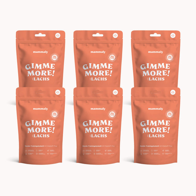 Gimme More! mit Lachs - mammaly