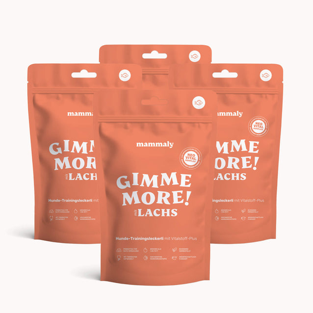 Gimme More! mit Lachs - mammaly