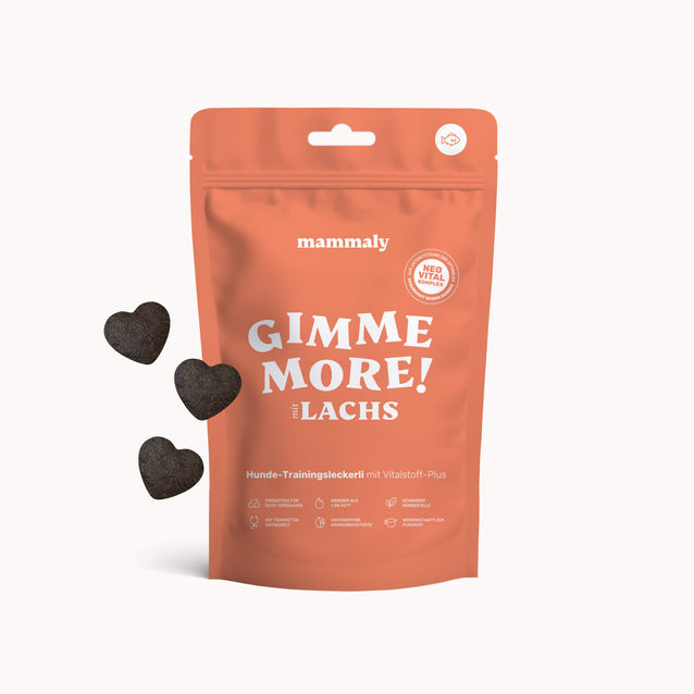 Gimme More! mit Lachs - mammaly