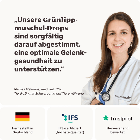 Hunde Grünlippmuschel-Drops Tierarztempfehlung