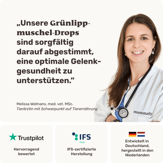 Hunde Grünlippmuschel-Drops Tierarztempfehlung