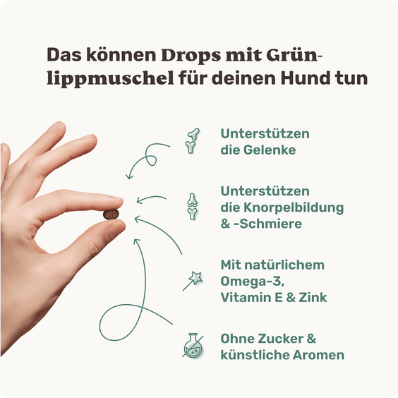 Hunde Grünlippmuschel-Drops Produktvorteile