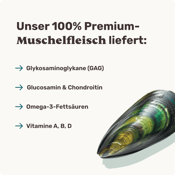 Hunde Grünlippmuschel-Drops Inhaltsstoffe