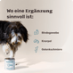 Hunde Grünlippmuschel-Drops Wirkbereiche