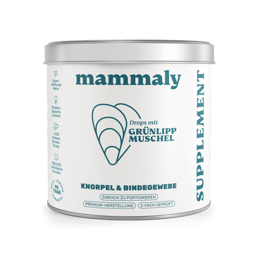 Grünlippmuschel - mammaly