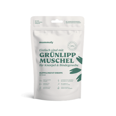 Grünlippmuschel