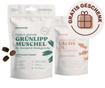 Grünlippmuschel