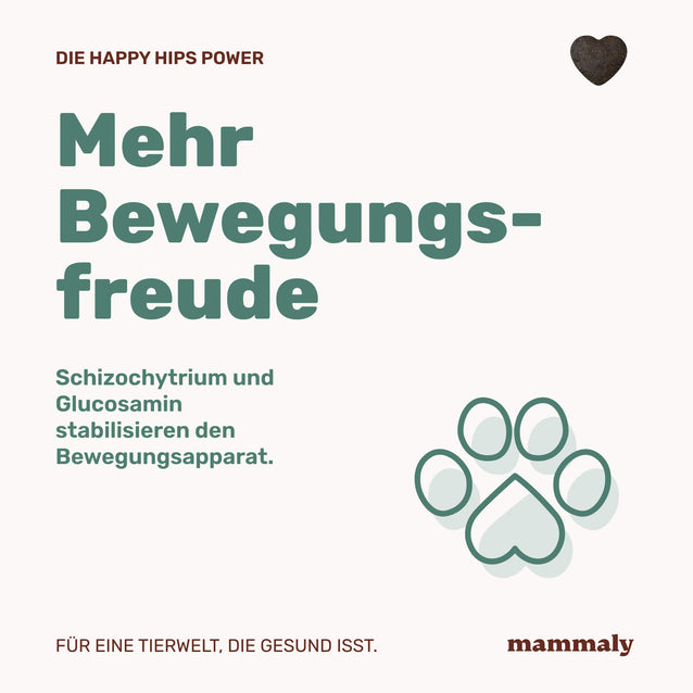 mammaly - Happy Hips - Snack with Benefits - Doggo - Hunde Snacks - Leckerli - natürlich - gesund - Gelenke - Knochen - Grünlippmuschel